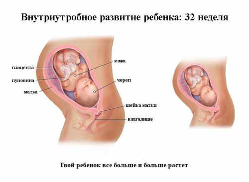 Вы наверняка теперь чувствуете позывы на мочеиспускание намного чаще, чем раньше