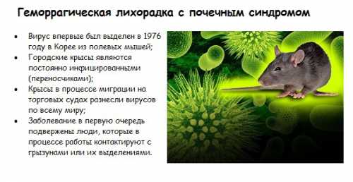 Все это время у пациента наблюдаются интенсивные боли в нижней части живота и пояснице